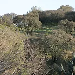 Le Bois Des Espeisses 2* Nîmes