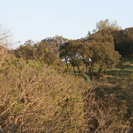 Le Bois Des Espeisses 2* Nîmes