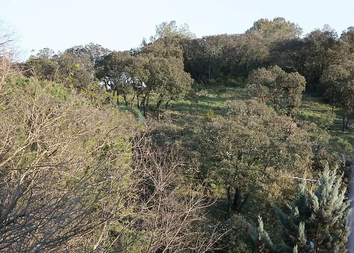 Le Bois Des Espeisses 2* Nimes